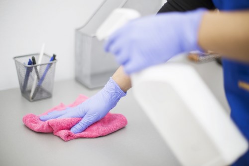 Professional domestic cleaning in a Surrey family home