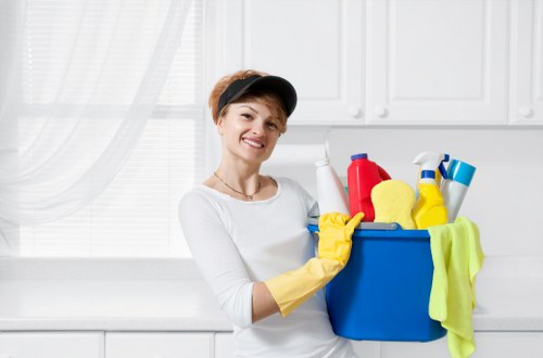 Professional home cleaners in Surrey providing domestic cleaning service