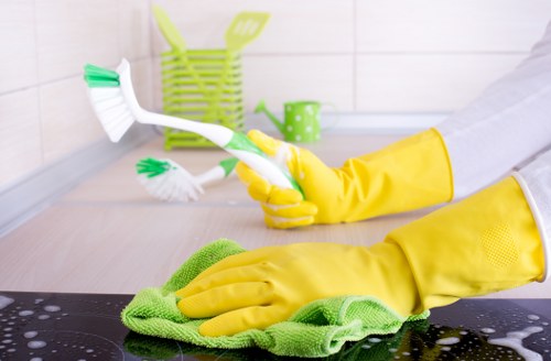 Cleaner refreshing a Surrey living room during a one off clean
