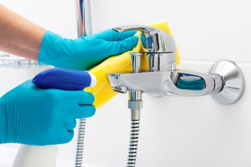 Bathroom cleaned to a high standard during domestic cleaning in Surrey