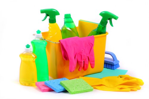 Inclusive Surrey carpet cleaning website accessibility commitment